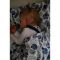 Комплект в кроватку Ceba Baby Плед (75x100) + подушка (30x45)  alas